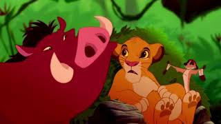 Simba amp TimonSimba amp Pumbaa Moments Part 1 13 [upl. by Pardner791]