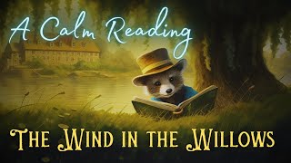 🦝 A Calm Reading of quotThe Wind in the Willowsquot  Full Audiobook for Sleep 😴 [upl. by Nilyad]