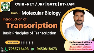 Introduction and Basic Principles of Transcription  Molecular Biology genesisinstitute [upl. by Amme]