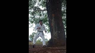 karate Antonio lima sensei [upl. by Gaston]