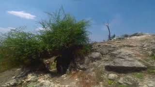 Rock Hill MTB Downhill [upl. by Osrock]