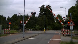 Spoorwegovergang Boxmeer  Dutch railroad crossing [upl. by Shulins]