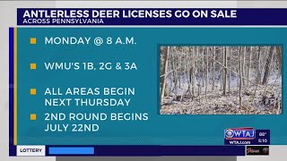 Antlerless deer hunting licenses on sale Monday but only in these areas [upl. by Roxi511]