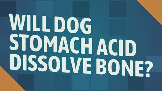 Will dog stomach acid dissolve bone [upl. by Philo]