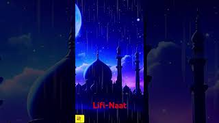 Emotional Nasheed 2024  Bara Lutf Aya Dil Lagi Ka  Little world of Islam  New Naat Sharif naat [upl. by Ahsenak952]