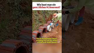 Wie baut man ein gemütliches Hühnernest Hühnerhaltung DIY Garten Kreativität Eiersammeln [upl. by Aihsela]