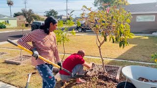 Removed all Fruit Trees with a Disappointment Excited for the Makeover [upl. by Amlet806]