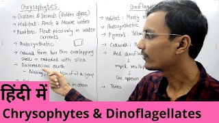 Kingdom Protista  Chrysophytes and Dinoflagellates in Hindi [upl. by Maram]