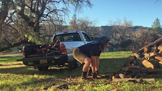 Toyon Firewood How to Lift Wood off the Ground [upl. by Idonna538]