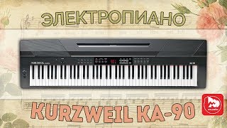 KURZWEIL KA90 Электропианино очень доступное [upl. by Odrautse]