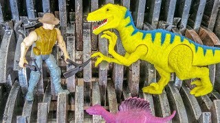 Raptor attacks Man Velociraptor and Dino Hunter Shredded Whats Inside [upl. by Hplodur665]