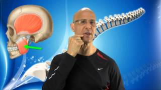 Instant TMJ Relief Maneuver for Jaw Pain Facial Pain amp Headaches  Dr Mandell [upl. by Aggappora232]