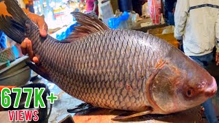 Fish Cutting Skills  Live Rohu Fish Cutting Skills In Fish Market [upl. by Cavanaugh]