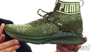 PUMA Ignite Evoknit Hypernature SKU 8896788 [upl. by Akinehs630]