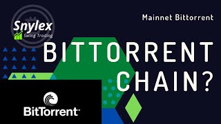 Que pasó con BTT Bittorrent Mainnet Bittorrent [upl. by Aivekahs853]