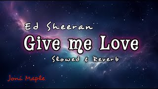 Ed Sheeran  Give Me Love Official Music Video  Joni Maple [upl. by Bing]