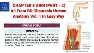 Chapter 8 ARM part  2 all from Bd chaurasia human anatomy volume 1 [upl. by Alleber676]