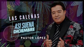 Las Caleñas Letra Pastor López [upl. by Ellek]