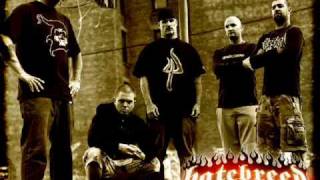 Hatebreed Every Lasting Scar BEST SONG [upl. by Akinnej341]