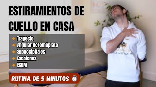 Rutina Sencilla De Estiramientos De Cuello En Menos de 5 Minutos ✅ Practícalos a Diario En Casa 🏠 [upl. by Adivad834]