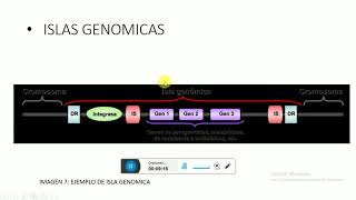 GENOMA BACTERIANO OPERONES E ISLAS DE PATOGENICIDAD [upl. by Wobniar]