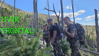 Arizona elk hunt Bull down elkhunting hunting elk frontal [upl. by Soane132]