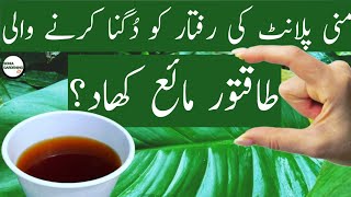 best fertilizer for money plant money plant ke liye best fertilizer [upl. by Maxey]