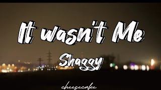 Shaggy  It wasnt me Lyrics [upl. by Silisav858]