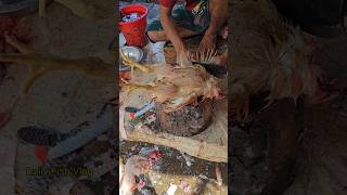 Most Fastest Chicken Cutting Skills By Professional Butcher  Cutting Skills 😱 shorts [upl. by Fantasia]