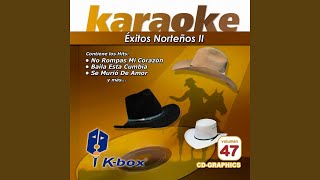 Payaso de Rodeo Karaoke Version [upl. by Attegroeg307]