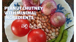 Peanut Tomato Chutney పల్లి పచ్చడి  Sidedish for Dosa and Idly TomatoPeanutChutney [upl. by Ciryl582]