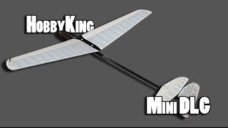 Hobbyking Mini DLG Build Fly Review [upl. by Ettecul]