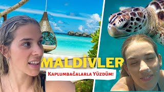 MALDİVLER MEGA VLOG  Kaplumbağalar ile Yüzdüm Fantastik Maldivler Odamız 🌴 [upl. by Duston]