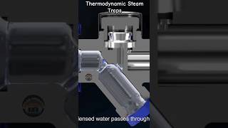 Steam Trap Working Animation  Thermodynamics Steam Trap  BoilerOperator [upl. by Ezitram753]