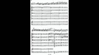 Vivaldi  Flautino Concerto in C Major RV 443 Score [upl. by Eeclehc]