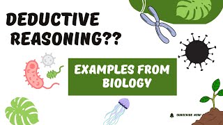 Hypothesis Testing in Biology  Deductive Reasoning [upl. by Paske]