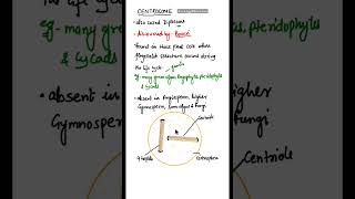 Centrosome class 11  Centrosome in Hindi shorts centosome [upl. by Eelsha]