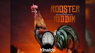 Ylnaldo Reprisal Visualizer Rooster Riddim [upl. by Amari]