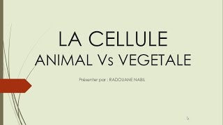 Biologie Cellulaire S1  la cellule végétale et la cellule animale الإختلاف بينهما [upl. by Ewell]