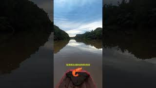 Otwe mancing mancing banjir fishing mancingikan mancingudang [upl. by Erikson]