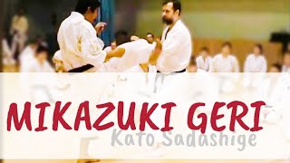 Mikazuki geri training Kato Sadashige [upl. by Ahsenauq]