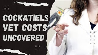 Understanding Cockatiel Vet Costs A Complete Guide for Pet Owners [upl. by Home]