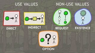 Valuation of Ecosystem Services Classes of Values [upl. by Attenehs]