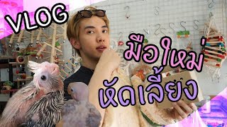 VLOG มือใหม่หัดเลี้ยงนก ไปจตุจักรซื้อนก ใช่ นก  Zellfie [upl. by Kenay328]