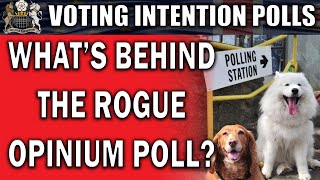 Rogue Poll Causes a Stir [upl. by Malissia]