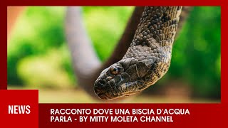 RACCONTO DOVE UNA BISCIA DACQUA PARLA [upl. by Benny]