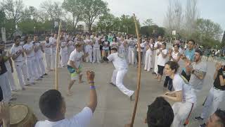 Roda Grupo capoeira Brasil Ezeiza [upl. by Halley9]