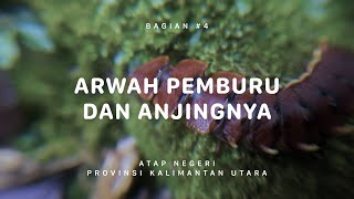 GUNUNG HARUN  Atap Negeri Kalimantan Utara 4 [upl. by Kienan]