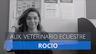 Curso Veterinaria Ecuestre Rocío alumna Escuela Veterinaria MasterD [upl. by Eddie769]