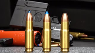 5 Most Deadly AMMO for BearDefense [upl. by Corso]